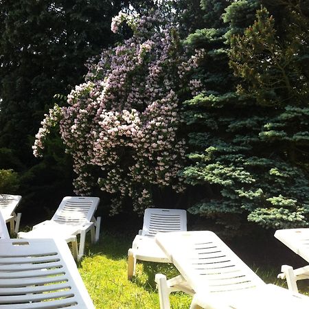 Zimmer Weiss Altenstädt Zewnętrze zdjęcie